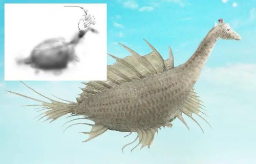 آموزش طراحی موجود خیالی در فتوشاپ